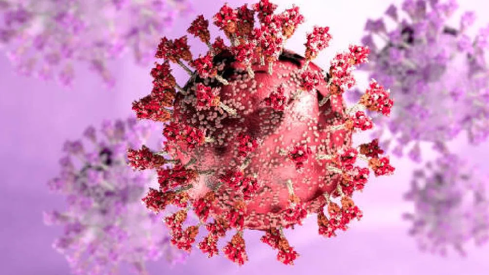 La situación se está monitoreando y se evaluará en los próximos días para decidir si se necesita cambiar la modalidad educativa. / Pixabay