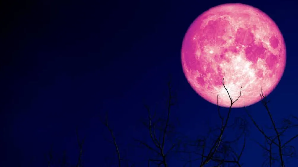 Aunque no es rosada, puede mostrar tonalidades cálidas como dorado o anaranjado al amanecer. / Pixabay