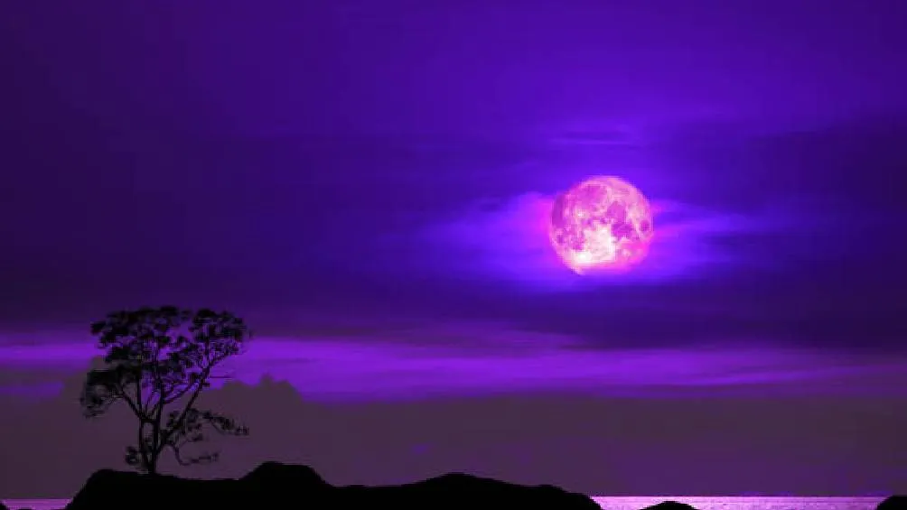 Elegir un lugar con poca contaminación lumínica, alejado de la ciudad./ Pixabay