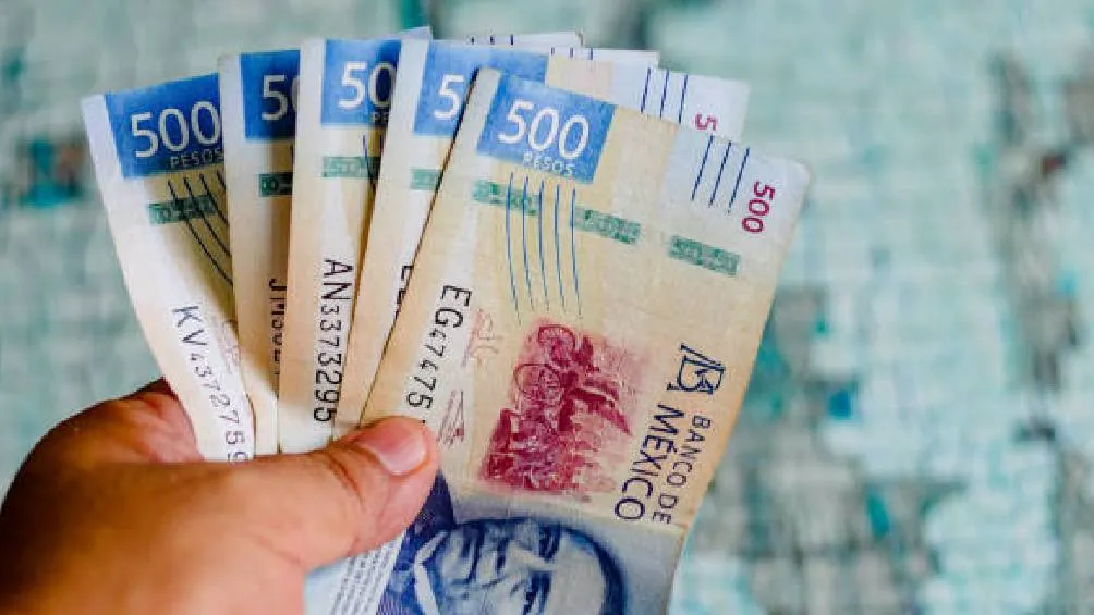 Se proporciona un subsidio mensual de 8,480 pesos, el cual es depositado en una cuenta del Banco del Bienestar./ Pixabay