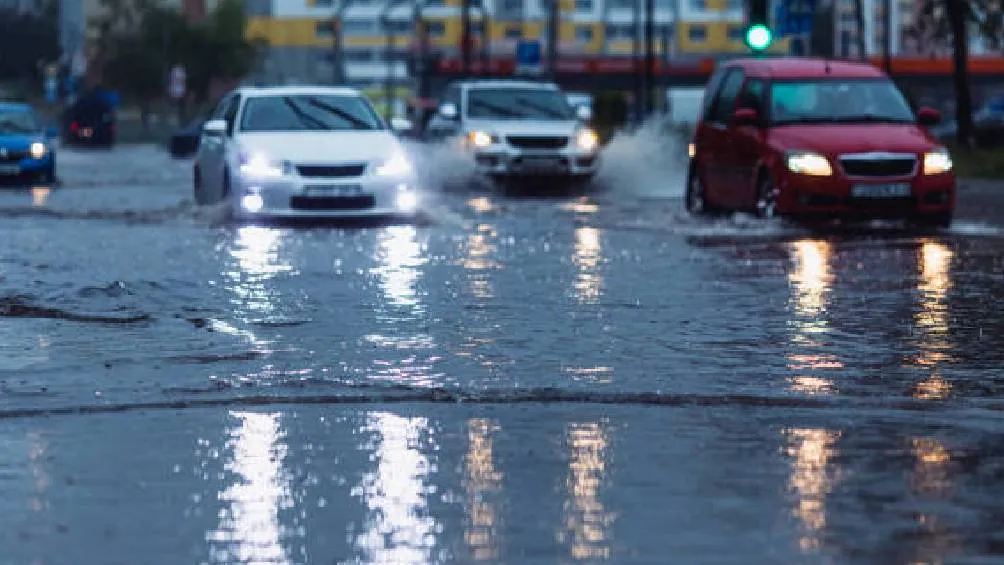 La Condusef ofrece recomendaciones esenciales para evaluar y contratar pólizas de seguros adecuadas. / Pixabay