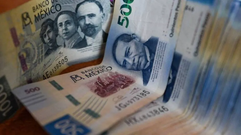 El INAPAM ofrece descuentos exclusivos en más de 8,000 establecimientos públicos y privados en todo el país. / RS