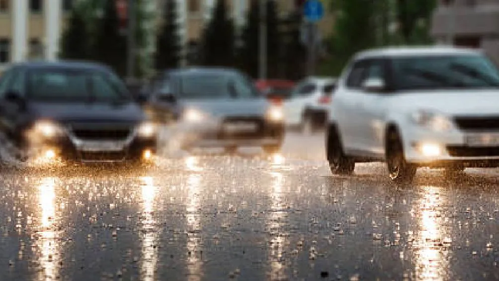 El programa incluye el registro de daños, asistencia legal y posible apoyo económico. / Pixabay