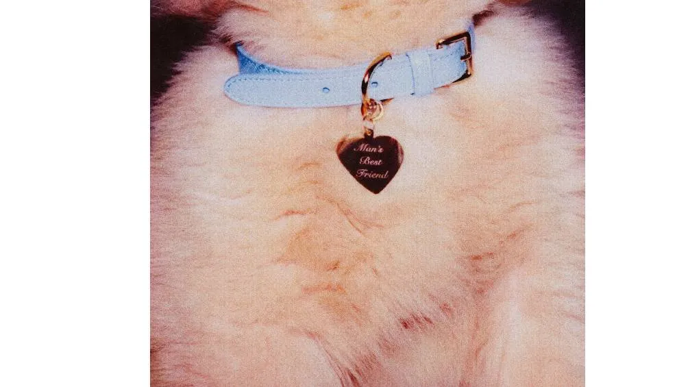 El lanzamiento de &quot;Man’s Best Friend&quot; ocurre un año después de &quot;Short n’ Sweet&quot;. / IG