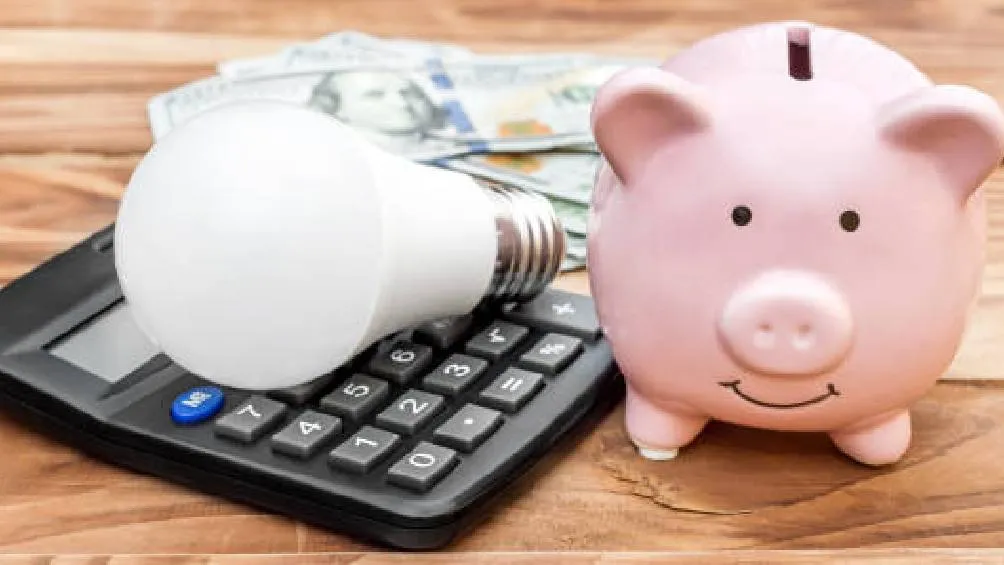 La Sener destacó que el uso responsable de la energía no solo genera ahorro económico, sino que también ayuda a proteger el medio ambiente. / Pixabay