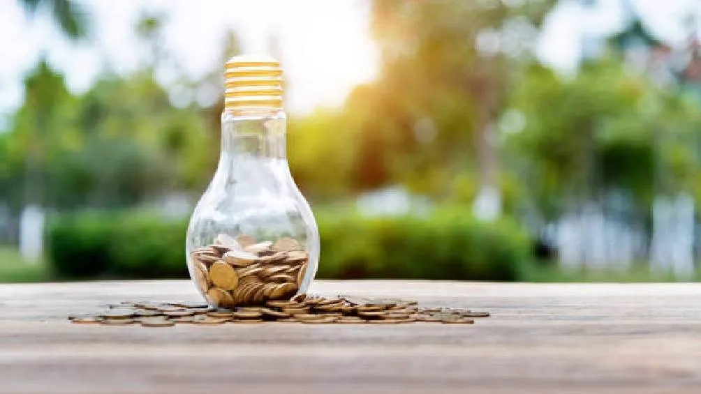 Esta iniciativa busca, además, prevenir incrementos significativos en el recibo de luz. / Pixabay