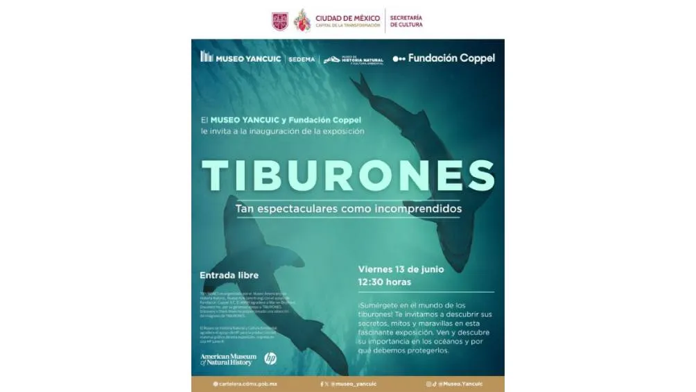 La exhibición está dividida en cuatro secciones. / Secretaria de Cultura