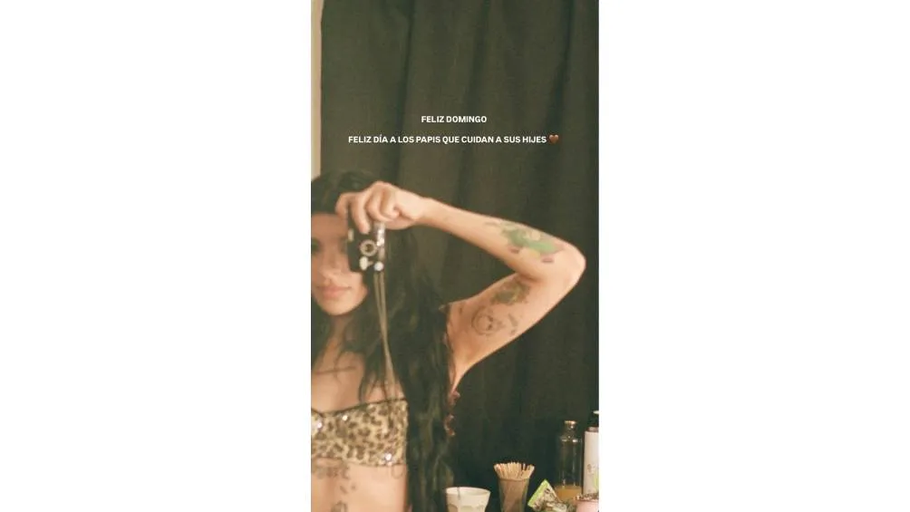 La cantante argentina publicó un mensaje en sus historias de Instagram que fue interpretado por muchos seguidores como una indirecta. / Captura de pantalla