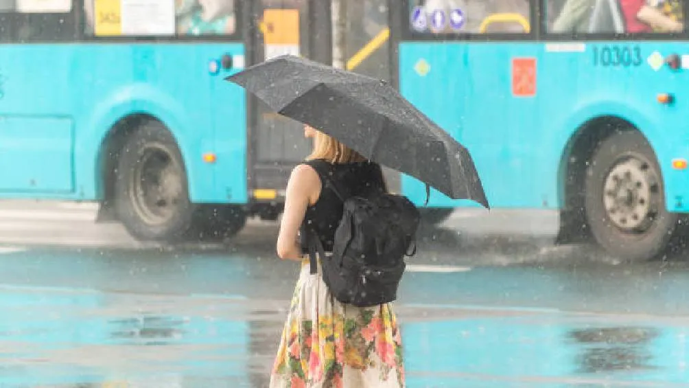 La SGIRPC-CDMX opera un semáforo de alerta meteorológica que alerta a la población según el volumen de lluvia. / Pixabay