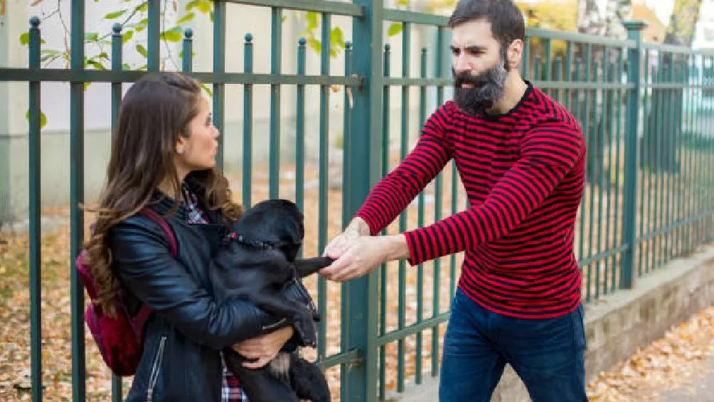 Los delincuentes manipulan enfrentamientos entre perros con el objetivo de extorsionar a sus propietarios. / Pixabay