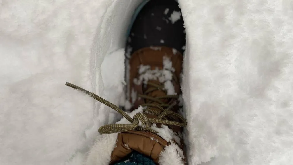 El fabricante ha habilitado un mecanismo de devolución sin costo, incluyendo guía de envío prepagada. / RS