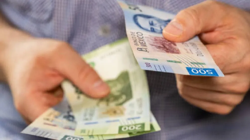 La jefa de Gobierno comenzará a entregas apoyo económico a un sector vulnerable de la población. / iStock