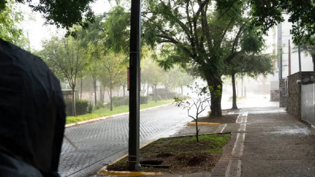 Ante este panorama, las autoridades hacen un llamado urgente a la ciudadanía para que evite salir si no es estrictamente necesario. / Pixabay