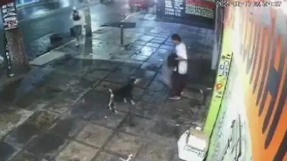 Las imágenes de un perrito callejero acostado sobre una cobija, la cual le fue arrebatada por un hombre./ RS