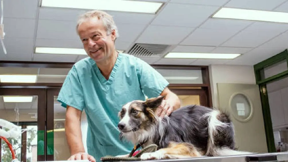 Los precios de la UNAM resultan considerablemente más accesibles que los de clínicas particulares. / Pixabay