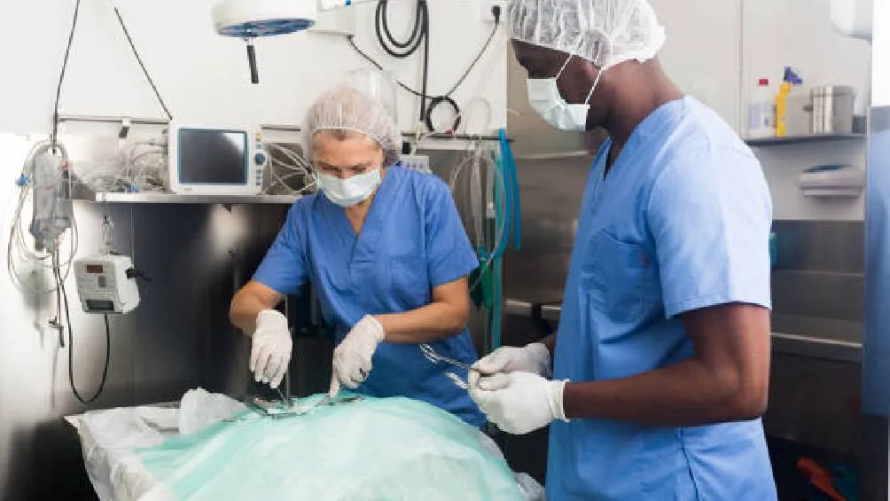 Para agendar la esterilización, se deben cumplir los siguientes criterios. / Pixabay