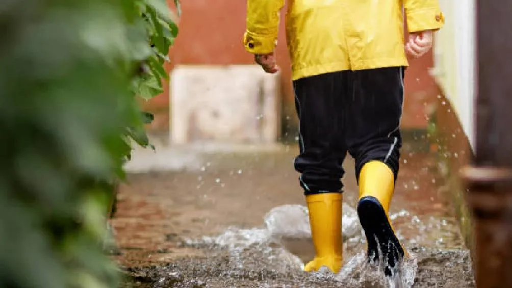 Las autoridades llaman a la población a tomar precauciones. / Pixabay