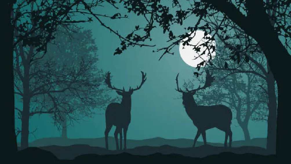 Este fenómeno se podrá observar en su punto máximo la noche del domingo 21 de julio. / Pixabay