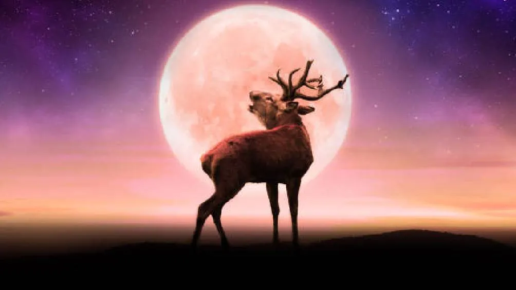 Durante esta fase, la Luna se verá hasta un 14% más grande y un 30% más brillante que una luna llena habitual. / Pixabay