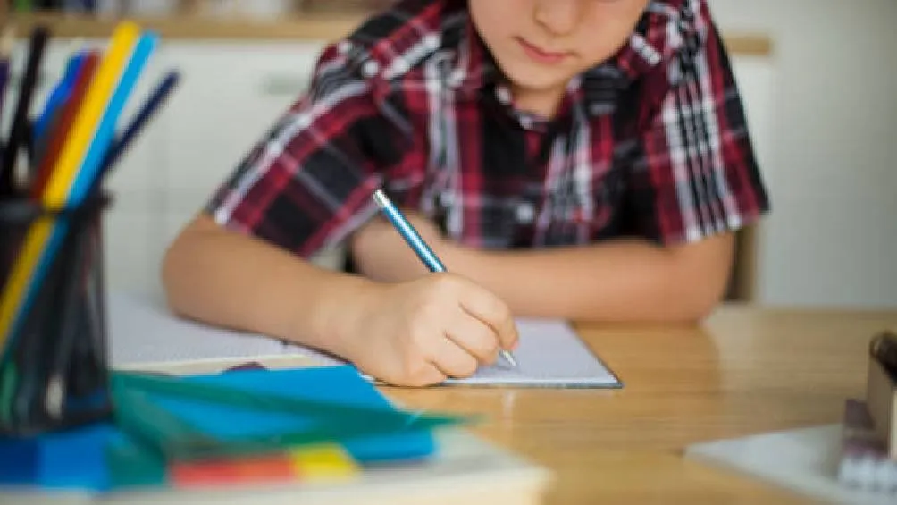 El menor busca ejercer su derecho a la educación / iStock