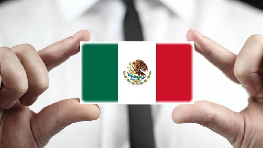 La Unidad Técnica de Fiscalización (UTF) del INE revisó a 315 partidos nacionales y locales / iStock