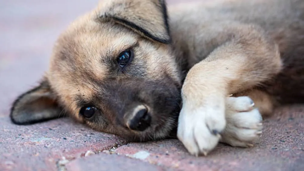 Checa la información clave para denunciar / iStock