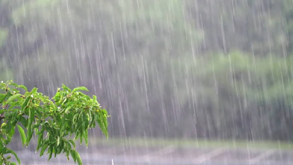 Especialistas advierten que este tipo de combinaciones podría repetirse en los próximos años / iStock