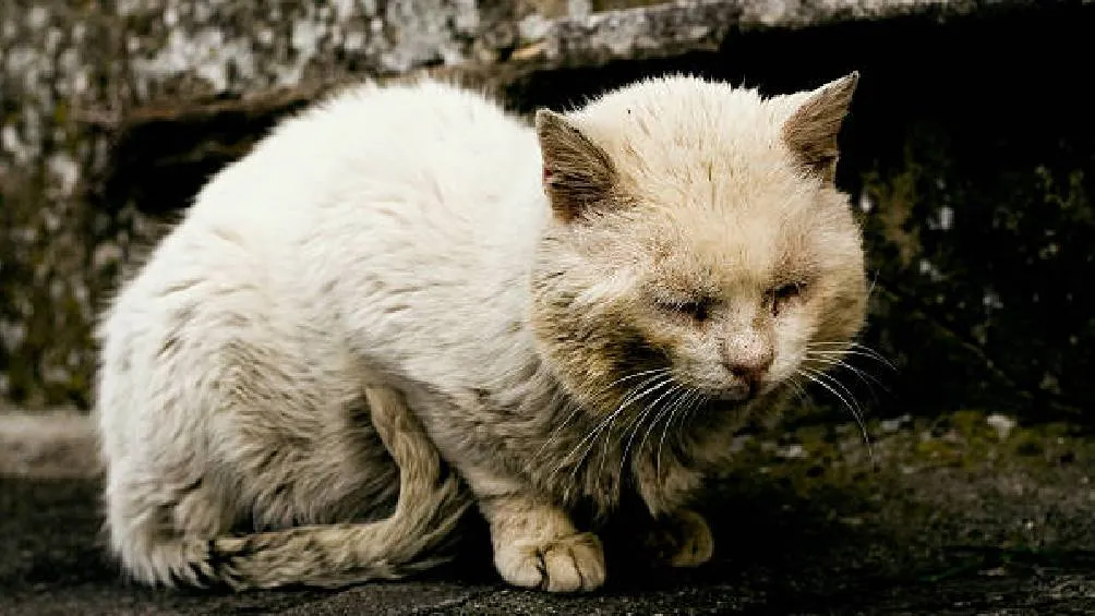 Entró en vigor el pasado 2 de julio de 2025, y su sede estará ubicada en las oficinas centrales de la FGJCDMX, / Pixabay