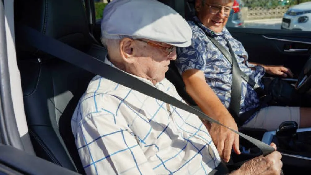 El enfoque principal está en la prevención de accidentes y la detección oportuna de posibles limitaciones físicas o cognitivas./ Pixabay