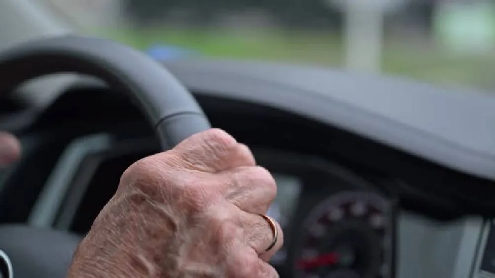 En algunos casos, las licencias para adultos mayores podrían tener una validez de uno a tres años./ Pixabay