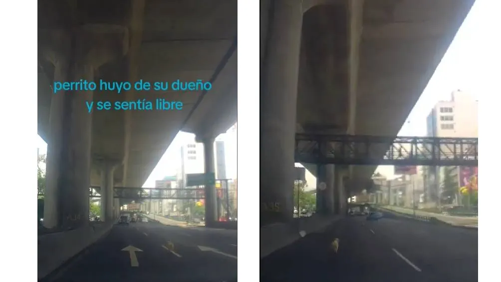 El momento quedó registrado en video y se viralizó | RS