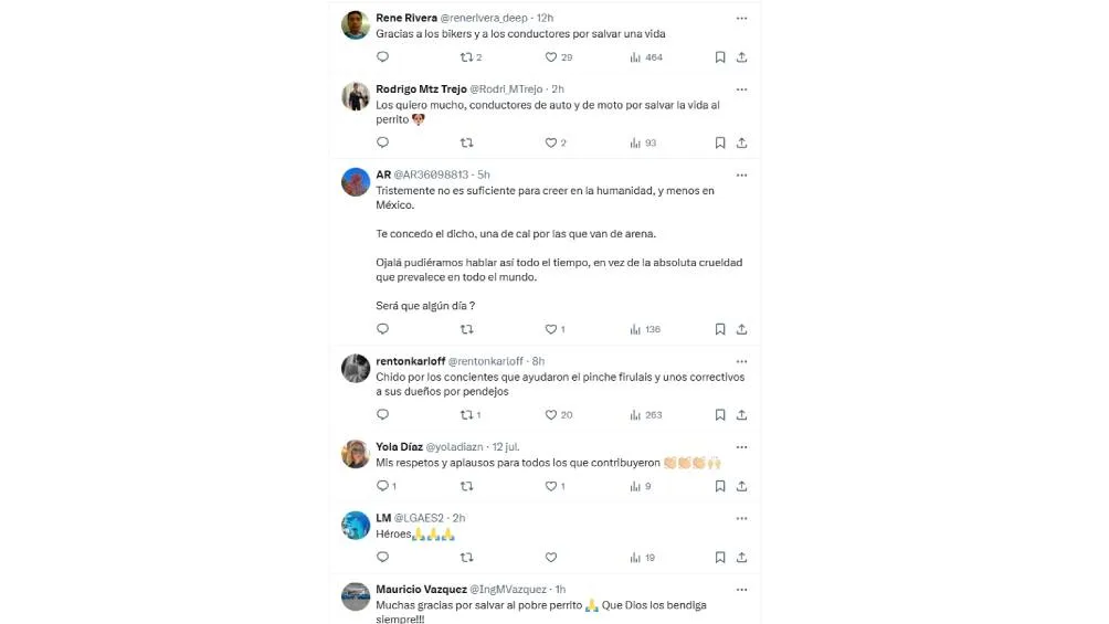 Algunos comentarios de usuarios en redes sociales | Captura de pantalla