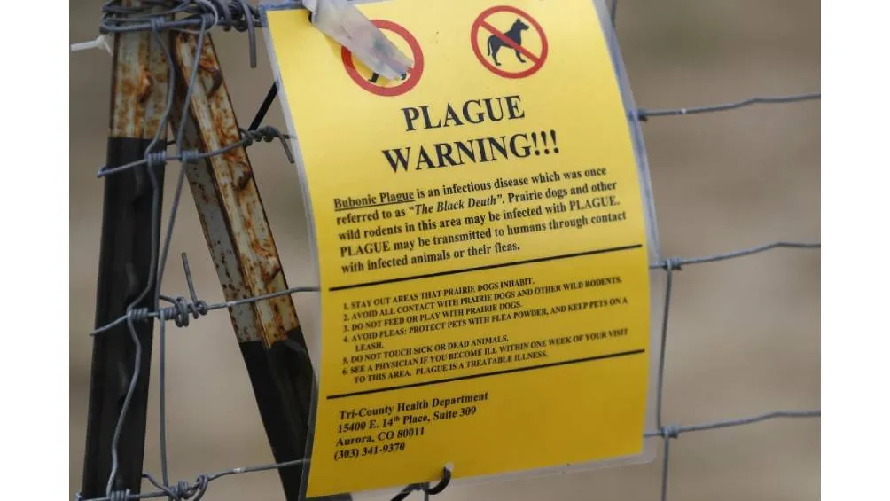 Muere residente del norte de Arizona a causa de la peste | AP