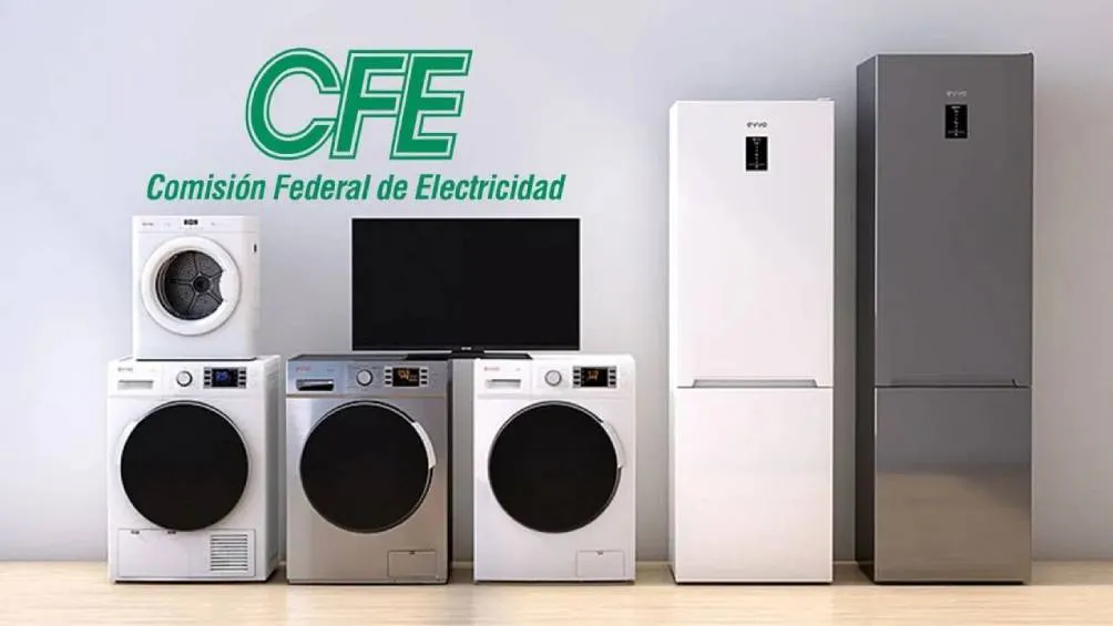 El costo del electrodoméstico puede pagarse en plazos de hasta 48 meses, con una tasa anual fija del 12 % sobre saldos insolutos./ RS