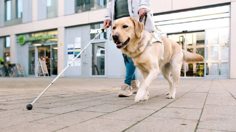 El hecho quedó grabado en video y difundido en redes sociales / iStock