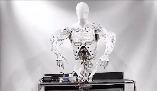 Protoclone sigue estando en desarrollo por lo que no saldrá pronto a la venta / IG: @clonerobotics