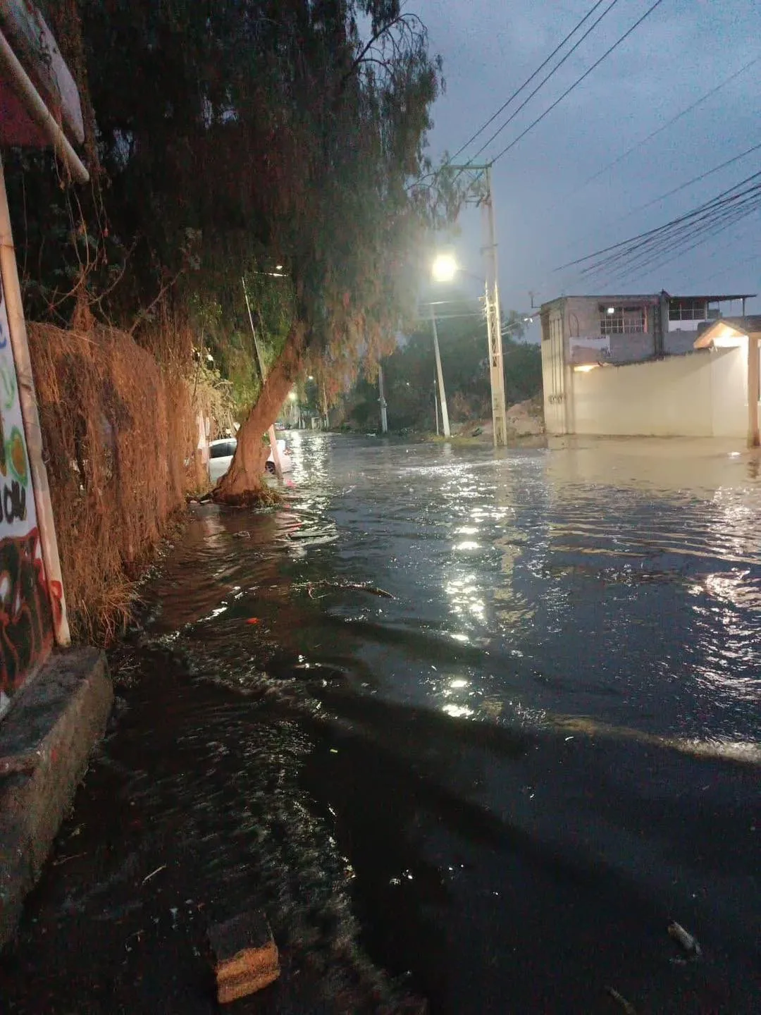 La gente que pagó su predial a tiempo, obtuvo este beneficio / Redes Sociales
