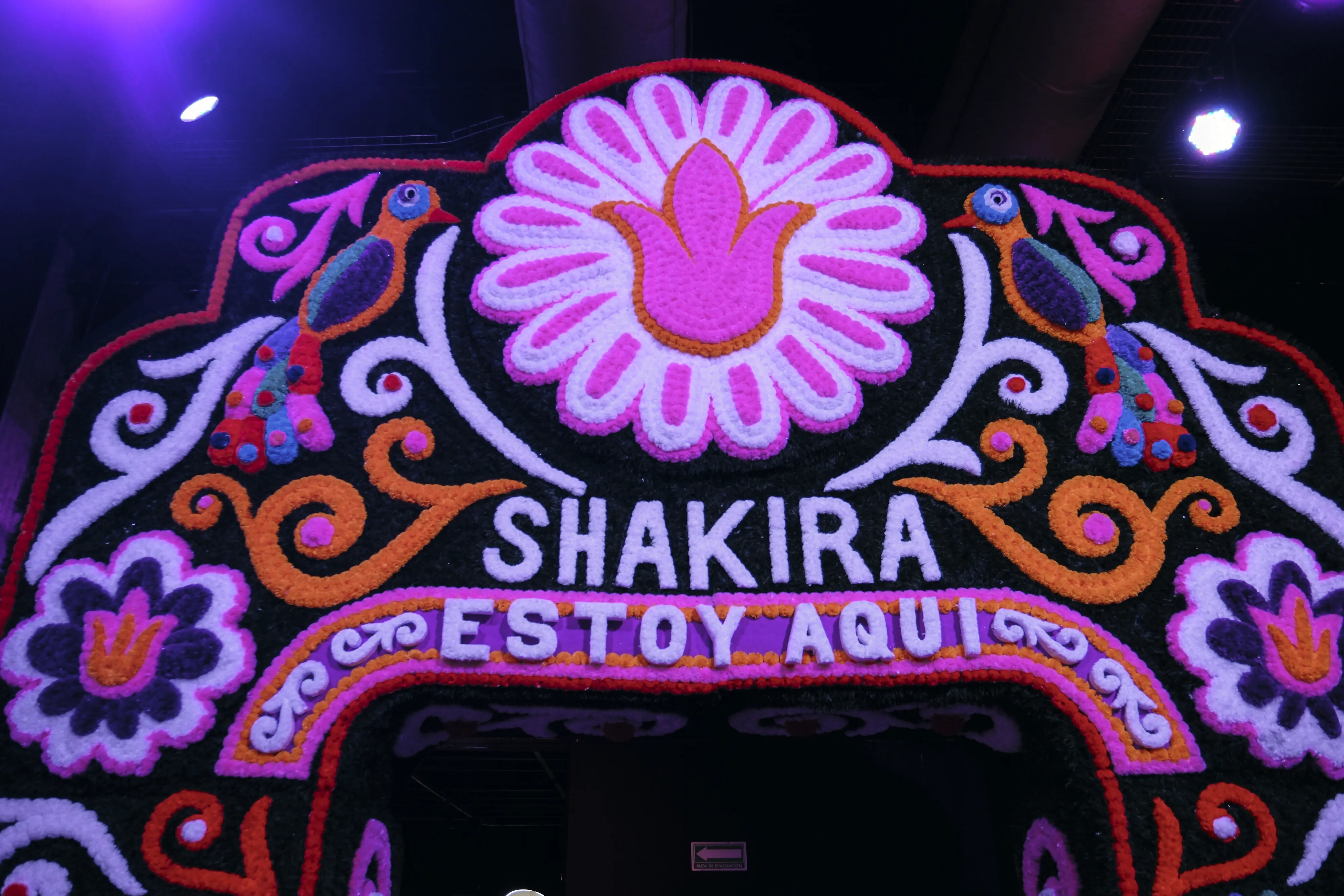 Shakira: Estoy Aquí en la CDMX / Foto Especial