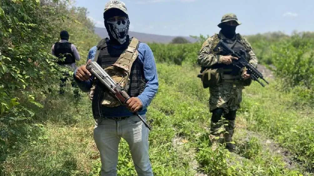 Trump catálogo a los cárteles del narco como grupos terroristas/France 24