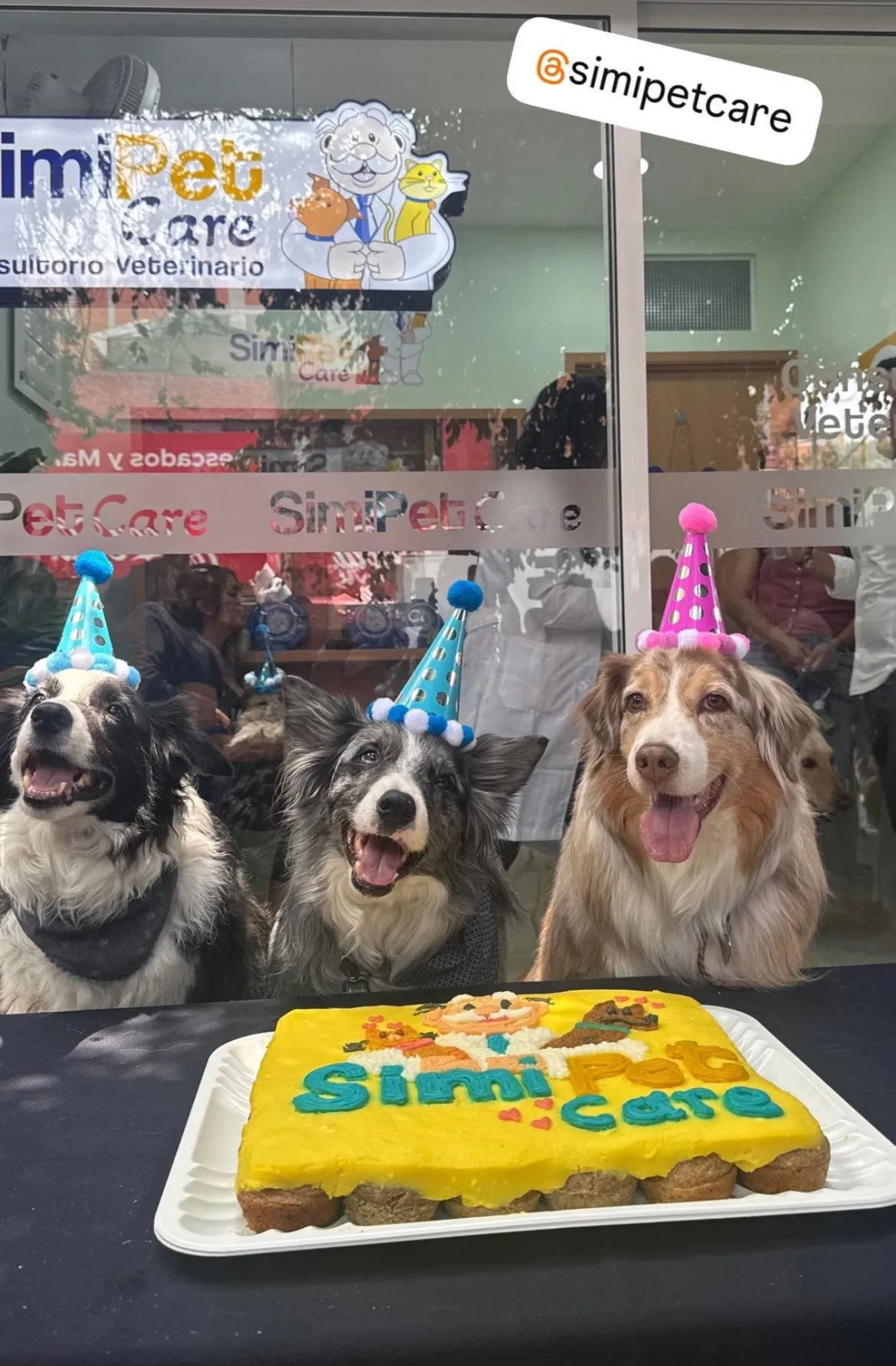 Las consultas de los lomitos y michis costará 75 pesos / Redes Sociales