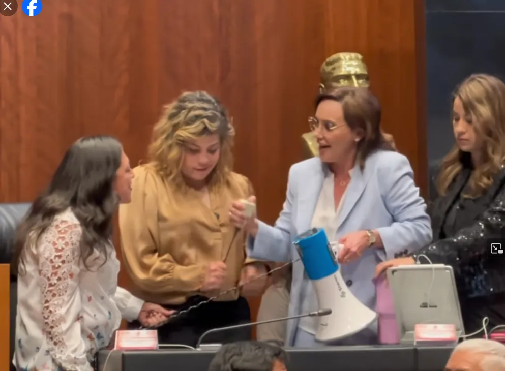 Senadoras de Morena impidieron que la panista realizara una protesta / Redes Sociales
