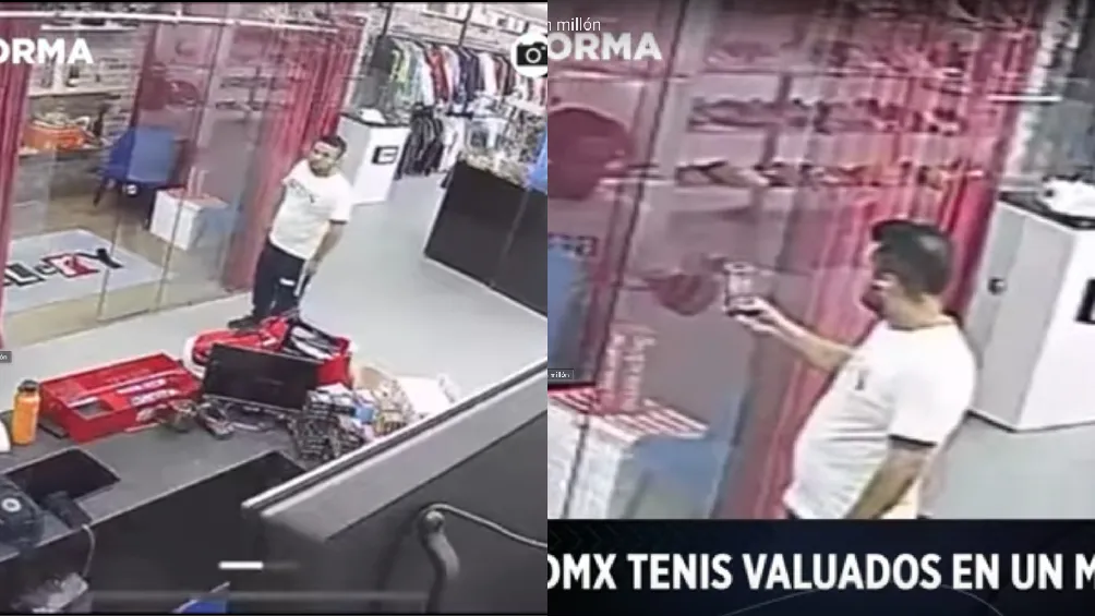 Primero entró un hombre a verificar cómo sacar el ejemplar / Especial