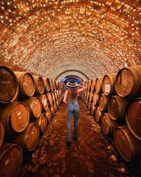 Se corre el riesgo de que el turismo baje por el nuevo impuesto / Redes Sociales