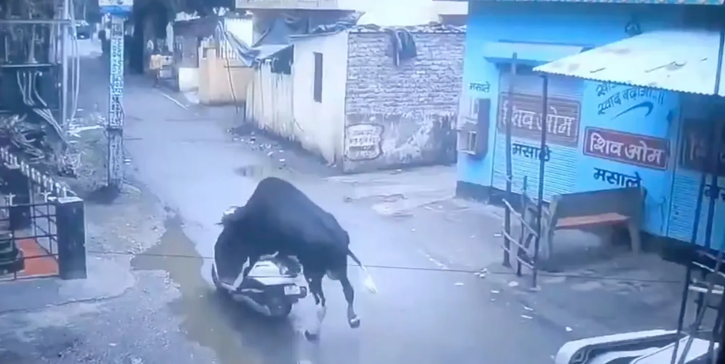 Al ver la moto sola, no dudó en subirse en ella / Redes Sociales