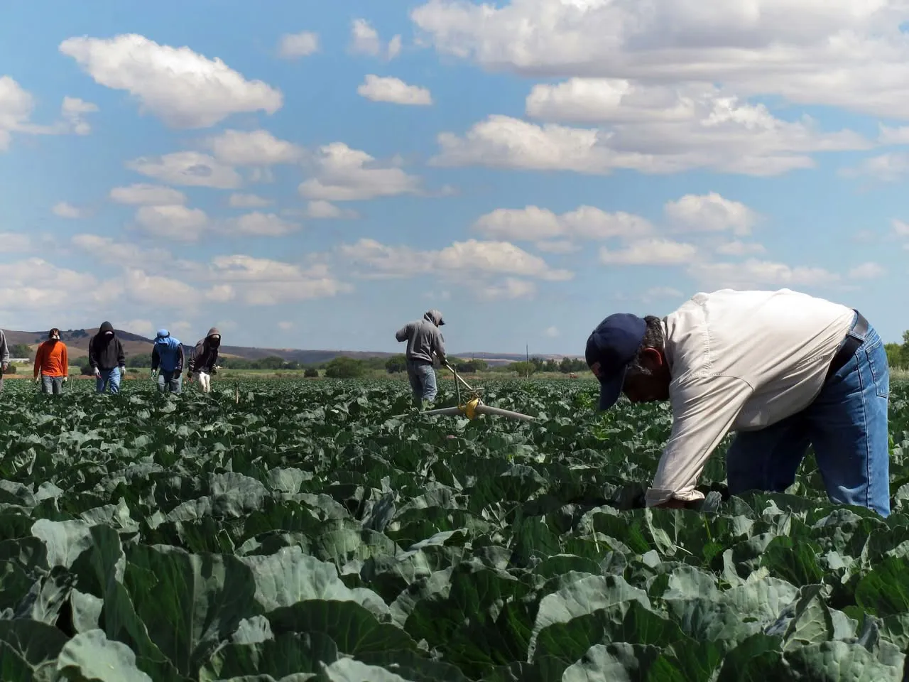 La fuerza laboral de los migrantes podría afectar la economía de EU / Redes Sociales