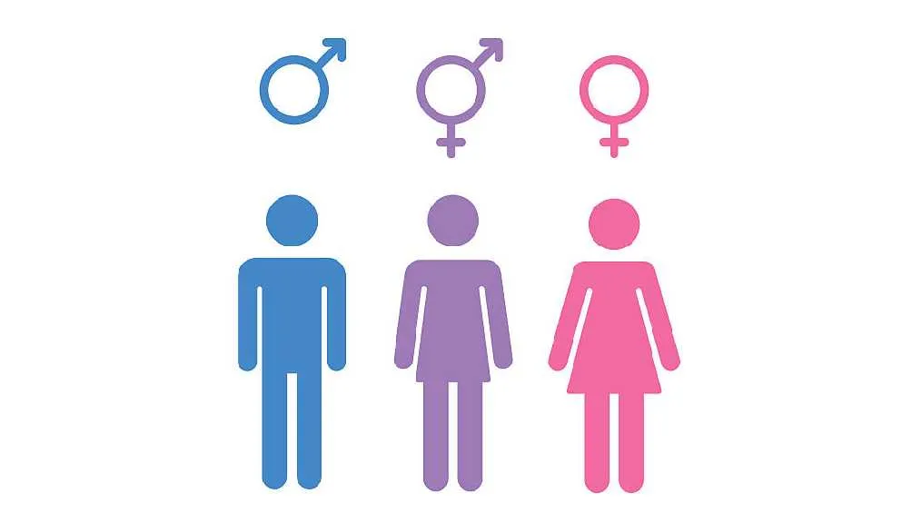 En algunos estados sí se reconoce el género no binario o X/Pixabay