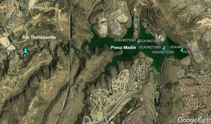 La lluvia del pasado lunes podría llenar la presa Madín / Redes Sociales