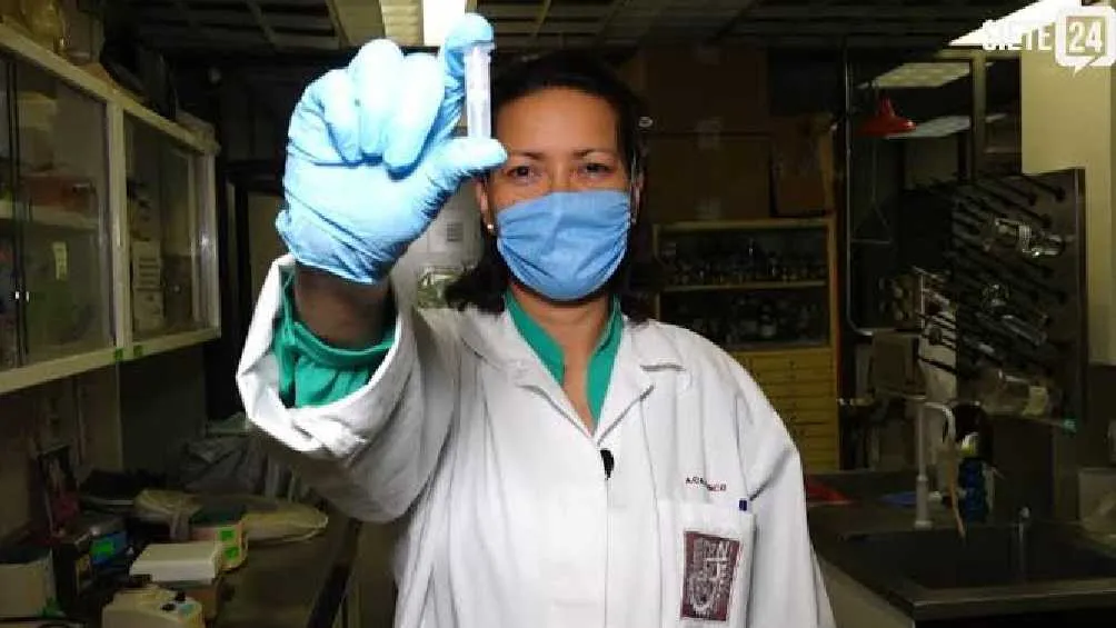 La científica Eva Ramón Gallegos comenzó su investigación contra el VPH desde el 2012/X