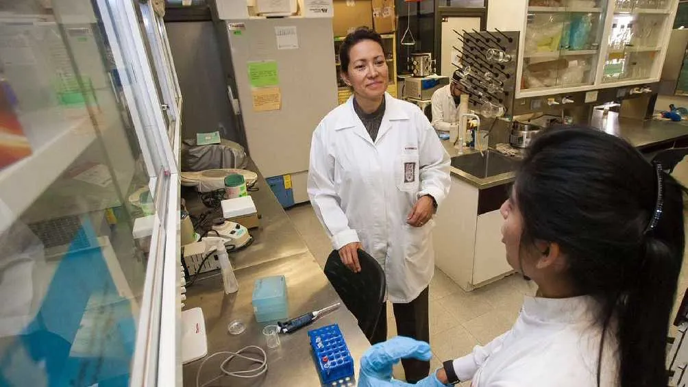 Para el éxito de esta investigación se siguió el método de la terapia fotodinámica/X