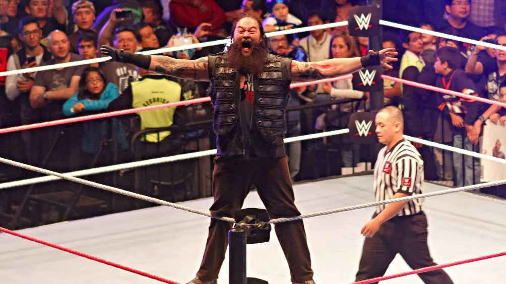 WWE durante su visita en 2015 | IMAGO7